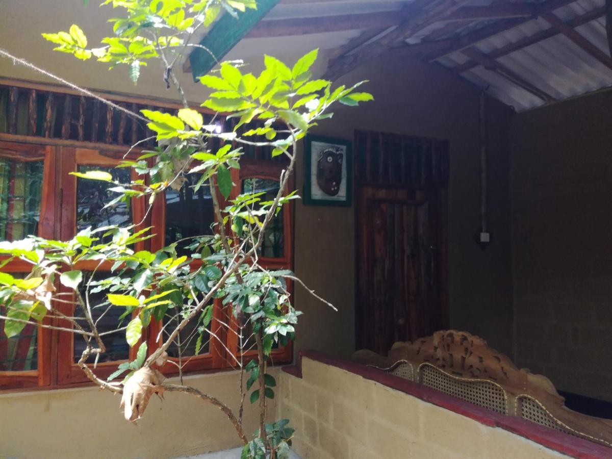 Sigiriya Freedom Lodge Dambulla Buitenkant foto