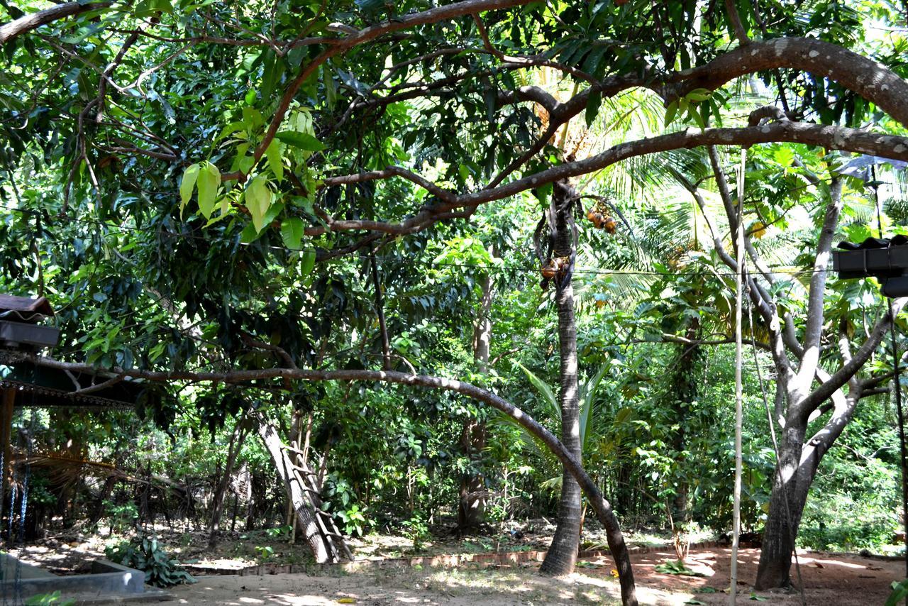 Sigiriya Freedom Lodge Dambulla Buitenkant foto
