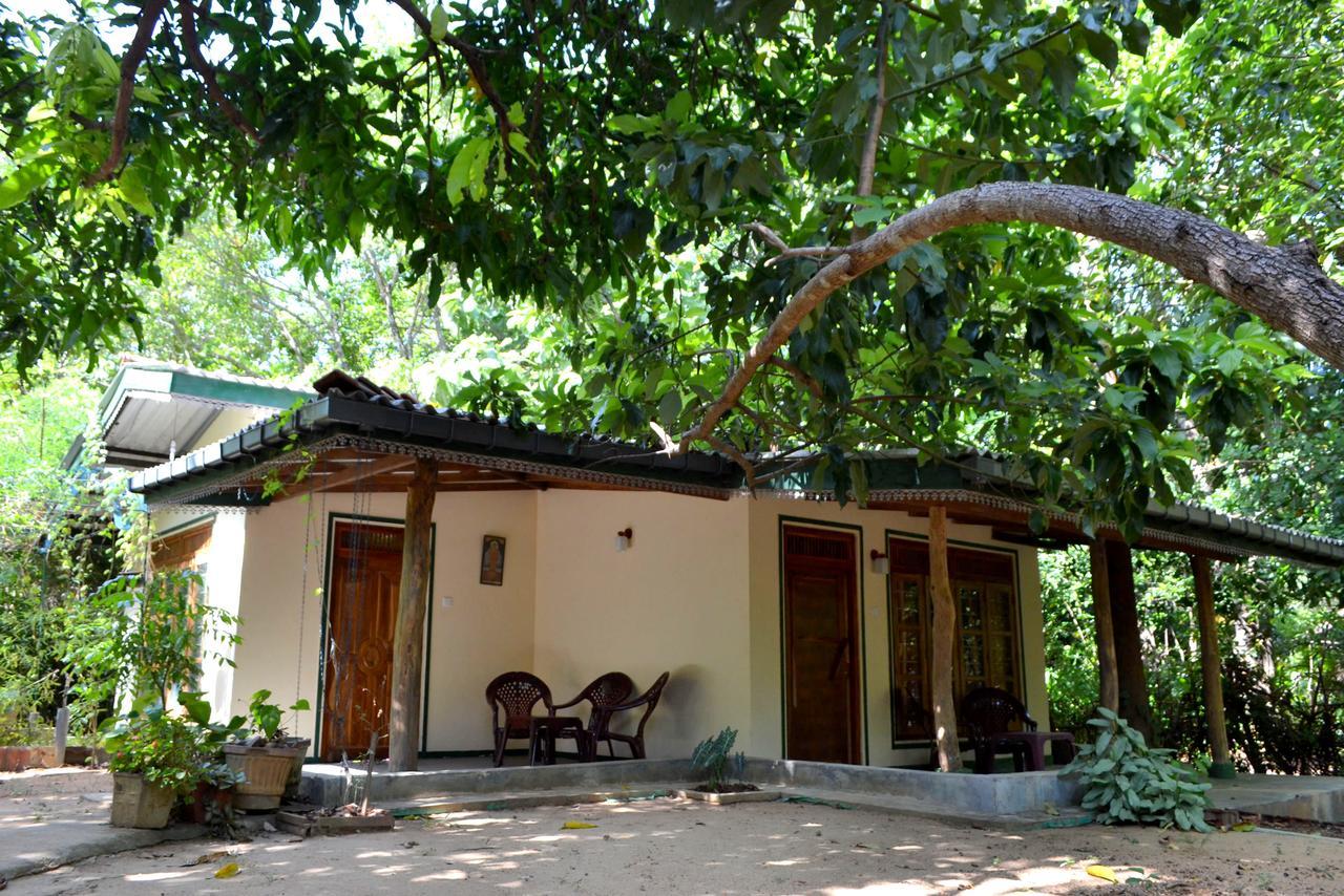 Sigiriya Freedom Lodge Dambulla Buitenkant foto