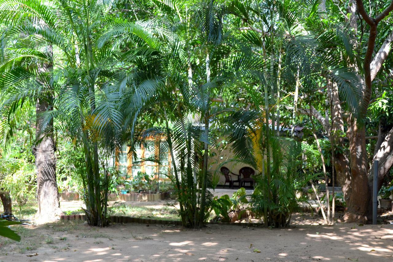 Sigiriya Freedom Lodge Dambulla Buitenkant foto